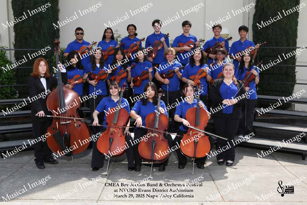 Musical Images